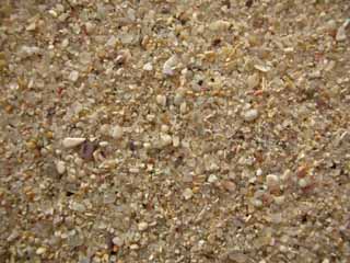 Mar de Lira, Carnota